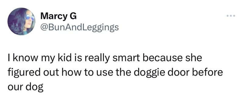 parenting memes, parenting tweets, comedic family quips, chuckle-inducing mommy memes, hilarious dad jokes