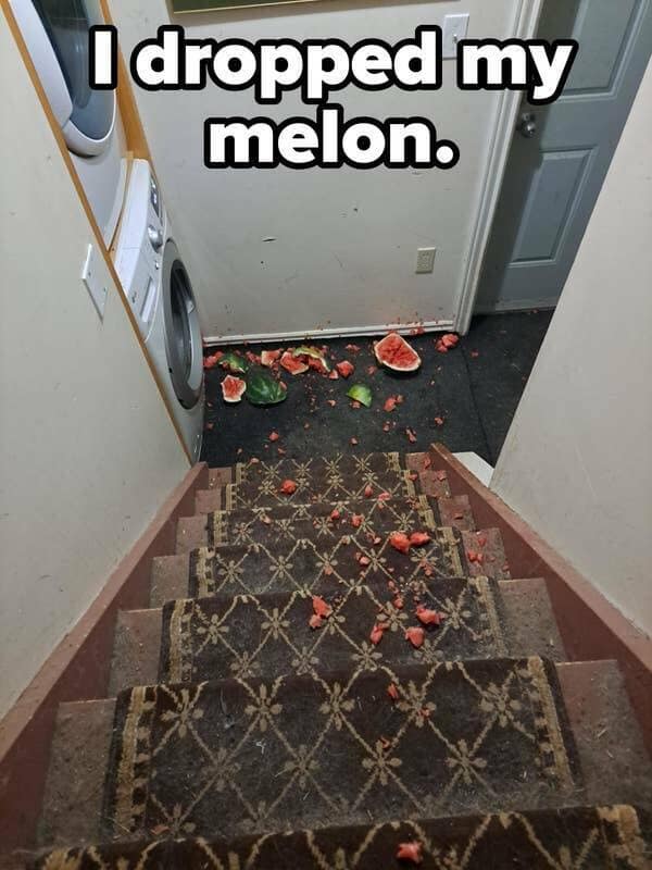 I dropped my melon.