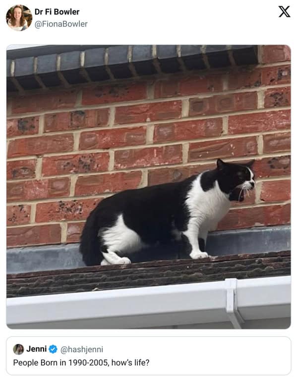 pet memes, pet tweets, dog memes, cat memes, funny pet tweets, cute pet pictures, animal memes, hilarious pet tweets, adorable pet pics, cute animal photos