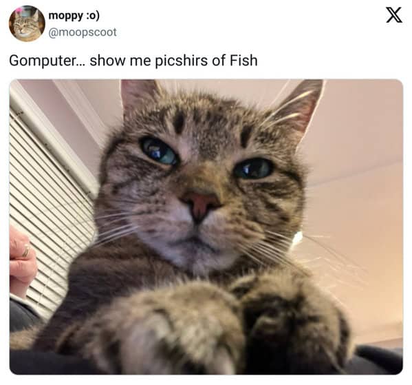 pet memes, pet tweets, dog memes, cat memes, funny pet tweets, cute pet pictures, animal memes, hilarious pet tweets, adorable pet pics, cute animal photos