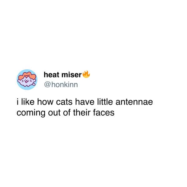 pet memes, pet tweets, dog memes, cat memes, funny pet tweets, cute pet pictures, animal memes, hilarious pet tweets, adorable pet pics, cute animal photos