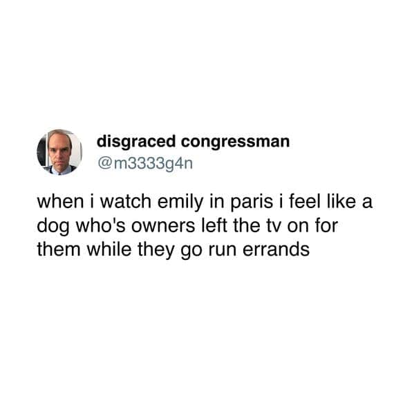 pet memes, pet tweets, dog memes, cat memes, funny pet tweets, cute pet pictures, animal memes, hilarious pet tweets, adorable pet pics, cute animal photos