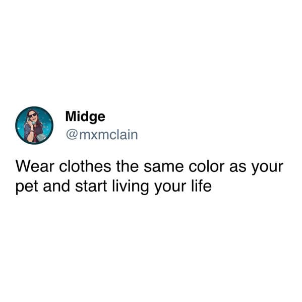 pet memes, pet tweets, dog memes, cat memes, funny pet tweets, cute pet pictures, animal memes, hilarious pet tweets, adorable pet pics, cute animal photos
