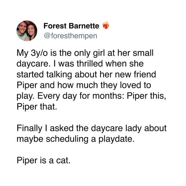 pet memes, pet tweets, dog memes, cat memes, funny pet tweets, cute pet pictures, animal memes, hilarious pet tweets, adorable pet pics, cute animal photos