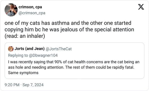 pet memes, pet tweets, dog memes, cat memes, funny pet tweets, cute pet pictures, animal memes, hilarious pet tweets, adorable pet pics, cute animal photos