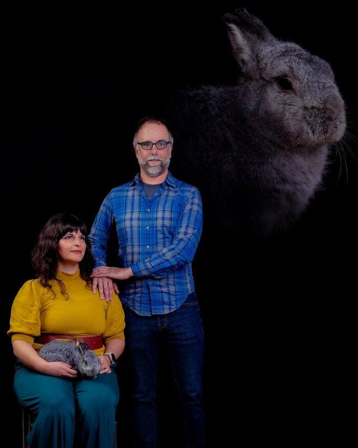 pet portraits, funny pet portraits, pet photos, funny animal portraits, funny pet pictures, animal photography, pet photo fails, pet photo shoots, funny animal studio portraits, awkward pet photos