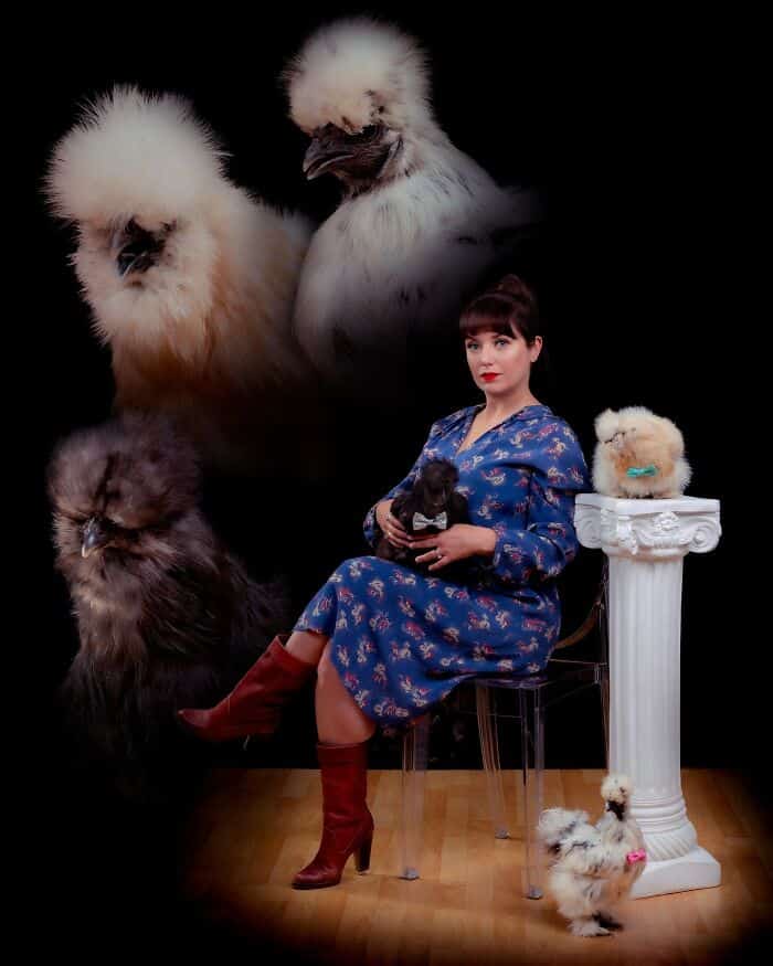 pet portraits, funny pet portraits, pet photos, funny animal portraits, funny pet pictures, animal photography, pet photo fails, pet photo shoots, funny animal studio portraits, awkward pet photos