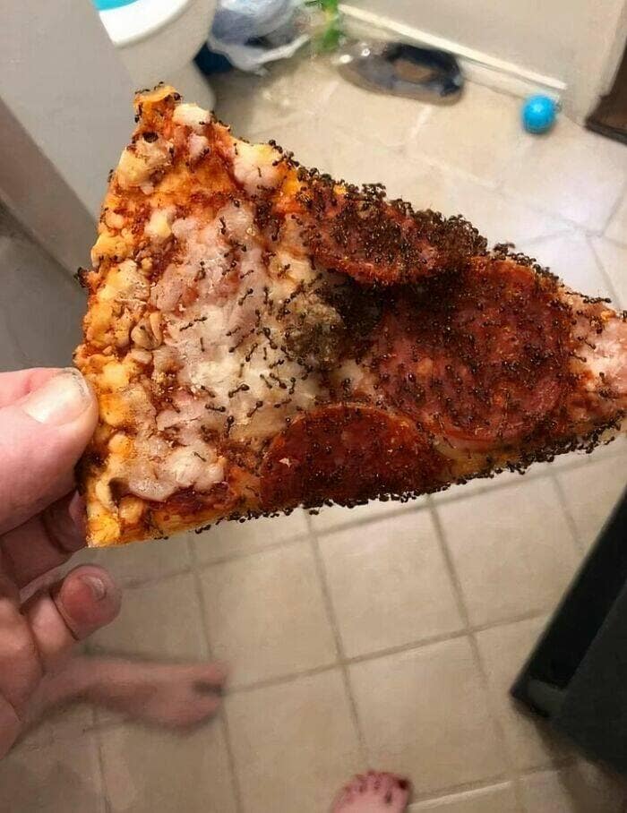 pizza memes, cursed pizza, funny pizza memes, weird pizza pics, viral pizza images