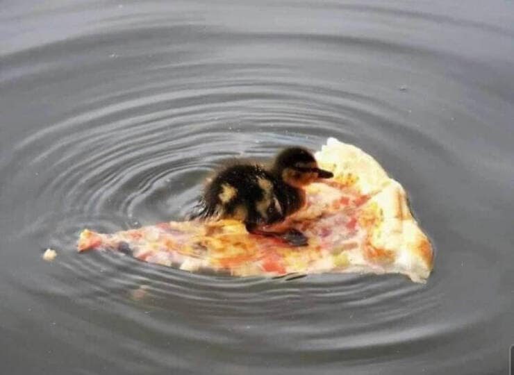 pizza memes, cursed pizza, funny pizza memes, weird pizza pics, viral pizza images