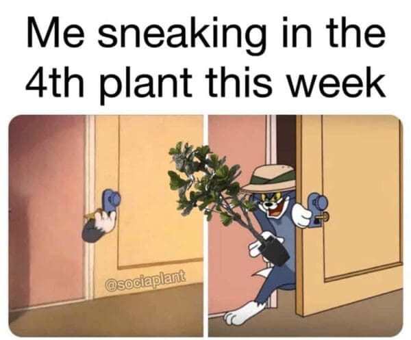 35 Plant Memes for People Who Struggle to Keep Their Plants Alive