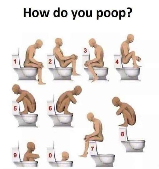 poop memes, weird toilets, toilet memes, Bathroom humor