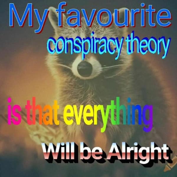 raccoon memes, trash panda memes, funny raccoon memes, cute raccoon memes, hilarious raccoon memes