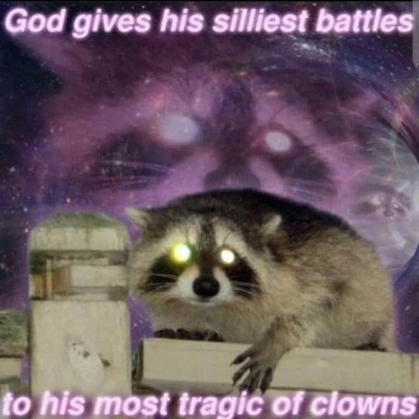 raccoon memes, trash panda memes, funny raccoon memes, cute raccoon memes, hilarious raccoon memes
