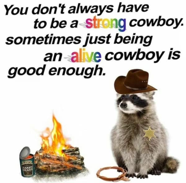 raccoon memes, trash panda memes, funny raccoon memes, cute raccoon memes, hilarious raccoon memes