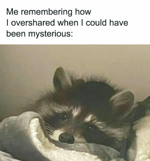raccoon memes, trash panda memes, funny raccoon memes, cute raccoon memes, hilarious raccoon memes