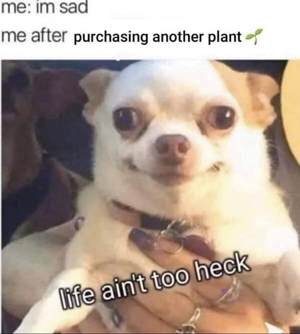 relatable memes, Funny Memes, Hilarious Memes, Amusing Memes