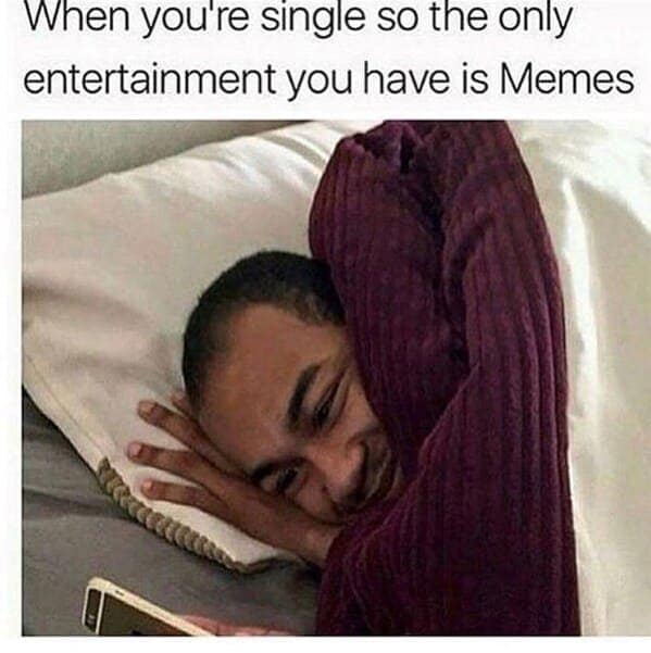 When you're single so the only entertainment you have is Memes