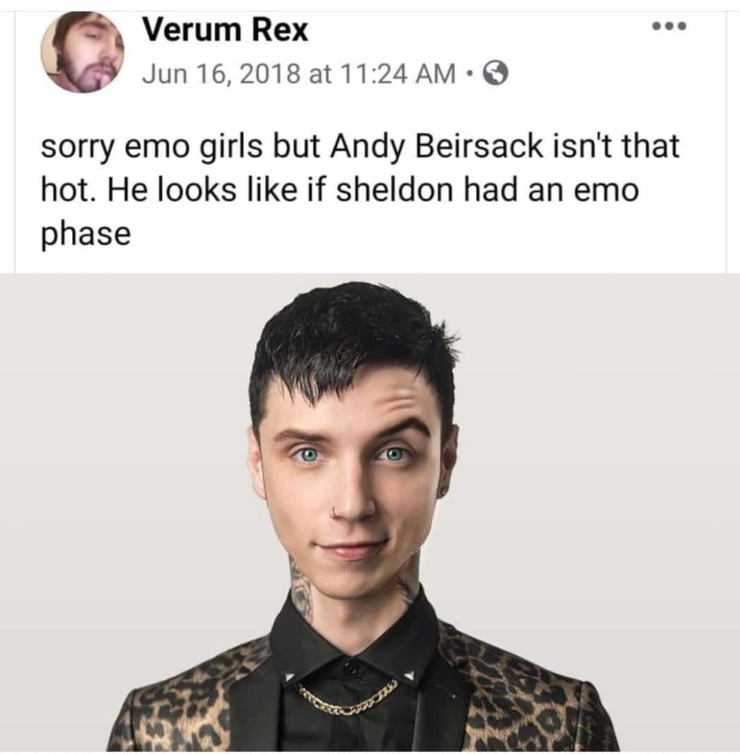 sorry emo girls but Andy Beirsack isn't that hot. He looks like if sheldon had an emo phase