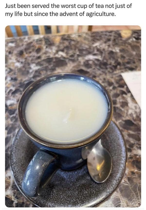 savage roasts, funny insults, sharp comebacks, witty retorts, snarky banter, savage memes