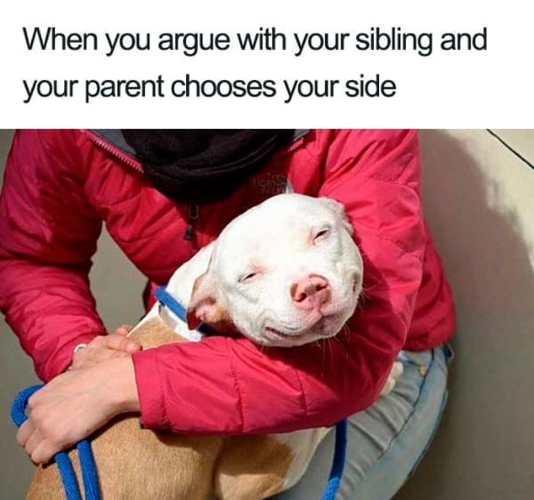 sibling memes, Funny Family Memes, Brother Sister Memes, Childhood Memories Memes, Sibling Humor, Family Shenanigans, Growing Up Memes
