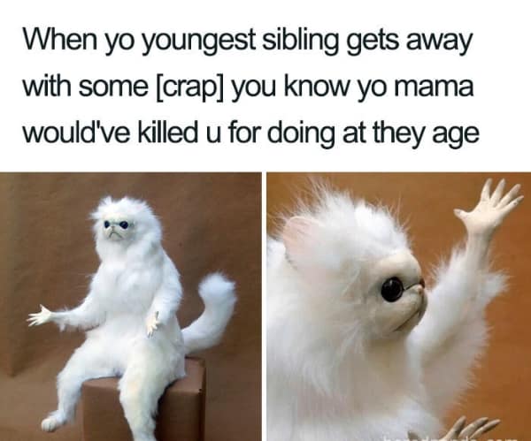 sibling memes, Funny Family Memes, Brother Sister Memes, Childhood Memories Memes, Sibling Humor, Family Shenanigans, Growing Up Memes