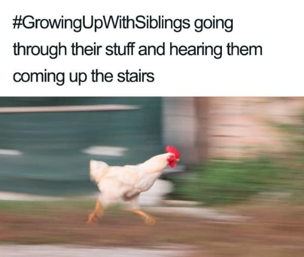 sibling memes, Funny Family Memes, Brother Sister Memes, Childhood Memories Memes, Sibling Humor, Family Shenanigans, Growing Up Memes