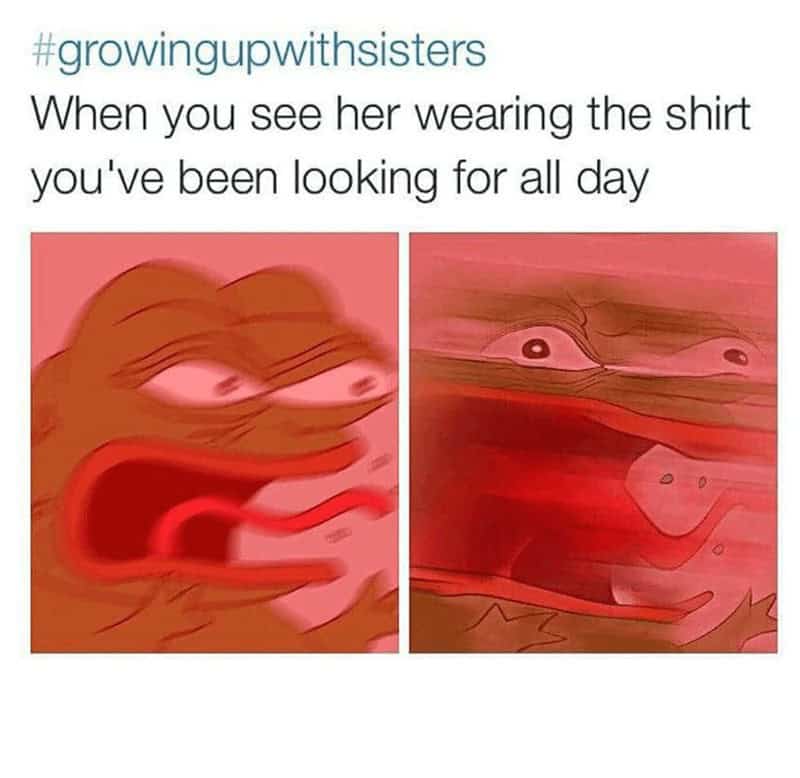 sister memes, sibling memes, family memes, childhood memes, sisters memes