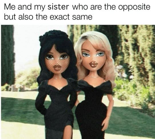 sister memes, sibling memes, family memes, childhood memes, sisters memes