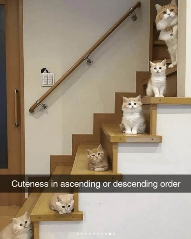 Cuteness in ascending or descending order