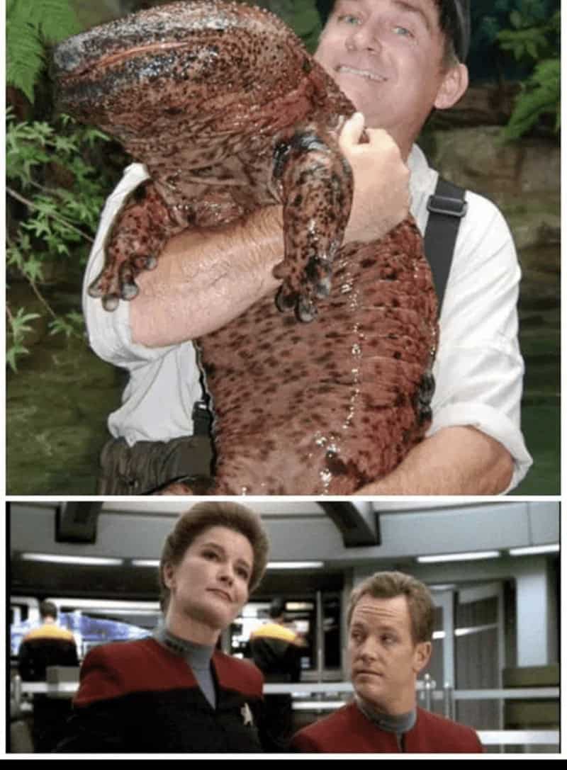 star trek memes, funny Star Trek memes, Trekkie memes, sci-fi memes, nerdy memes, sci-fi jokes