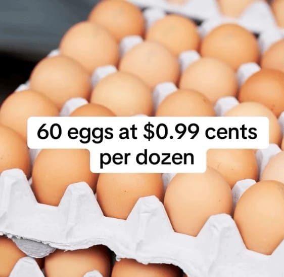 60 eggs at $0.99 cents per dozen