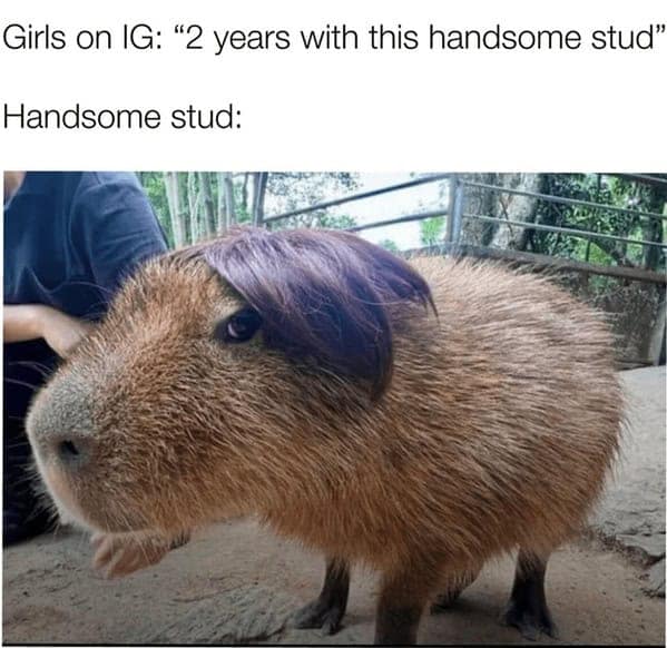 Girls on IG: "2 years with this handsome stud" Handsome stud: