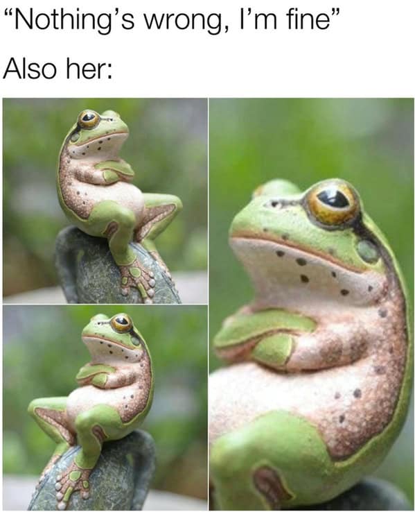 "Nothing's wrong, l'm fine" Also her: