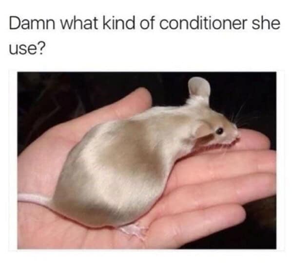 Damn what kind of conditioner she use?
