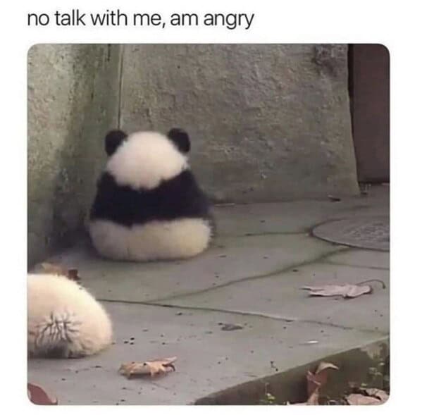 no talk with me, am angry