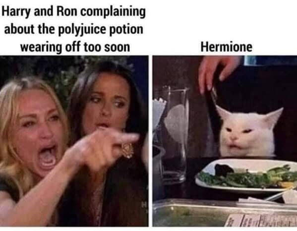 Harry and Ron complaining about the polyjuice potion wearing off too soon Hermione