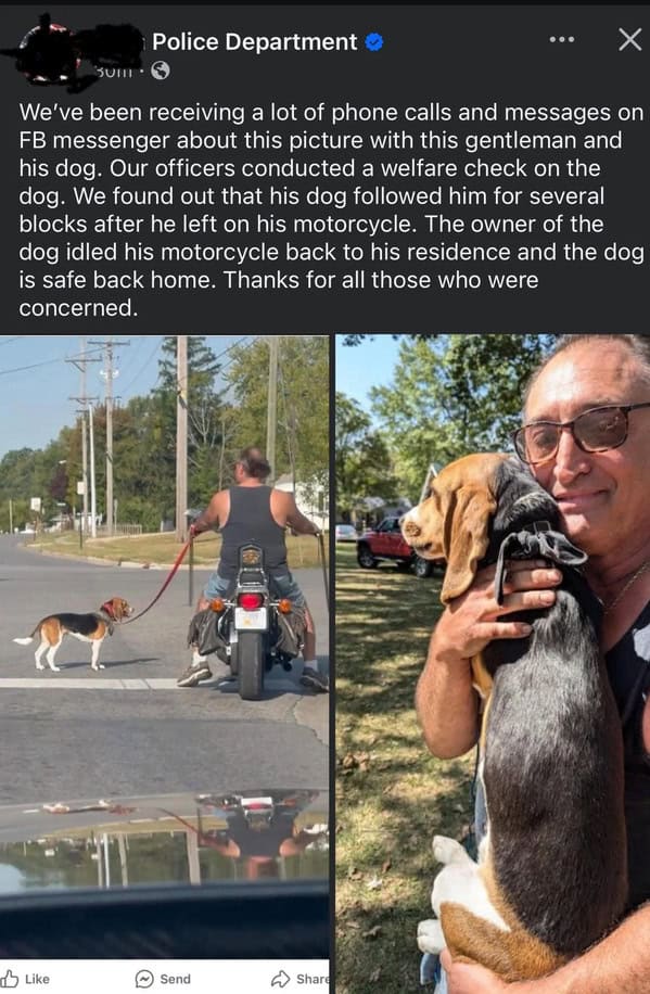 wholesome memes, heartwarming memes, feel-good memes, touching pictures, heartening photos, positive memes, happy memes, inspiring memes