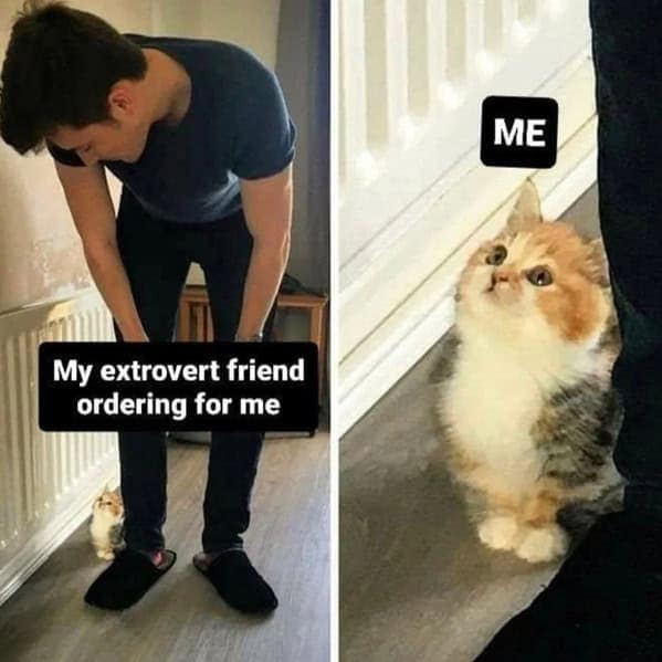 wholesome memes, heartwarming memes, uplifting memes, feel-good memes, inspirational memes, motivational memes