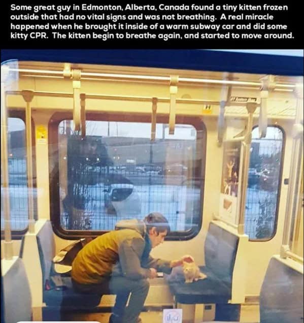 wholesome memes, heartwarming memes, feel-good memes, touching pictures, heartening photos, positive memes, happy memes, inspiring memes