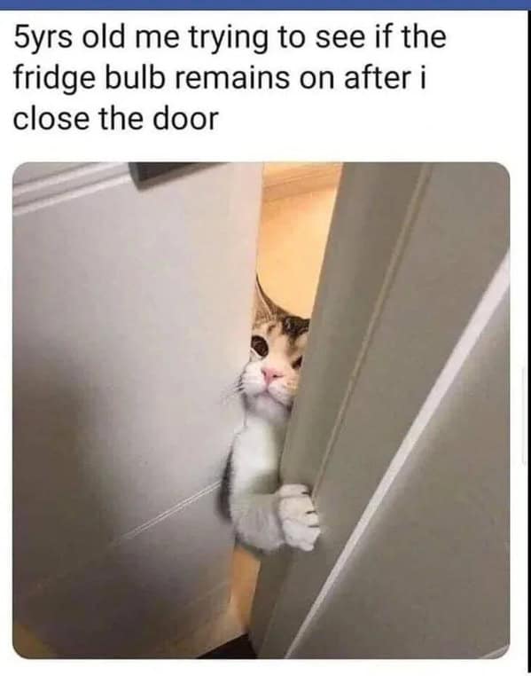 wholesome memes, heartwarming memes, uplifting memes, feel-good memes, inspirational memes, motivational memes
