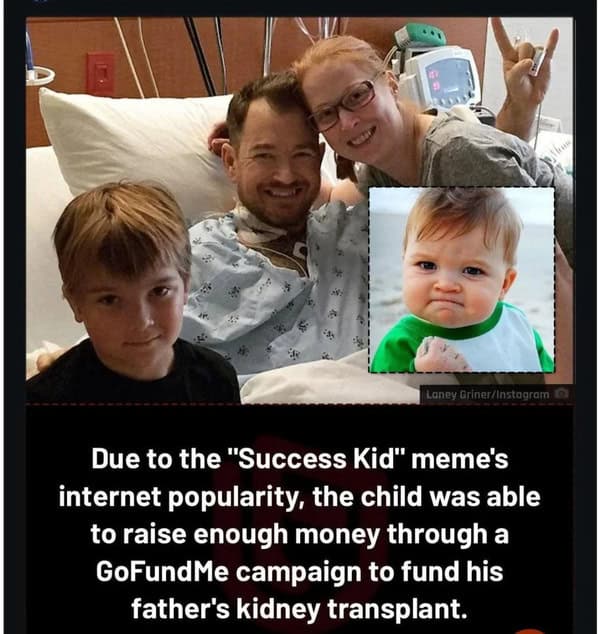 wholesome memes, heartwarming memes, feel-good memes, touching pictures, heartening photos, positive memes, happy memes, inspiring memes