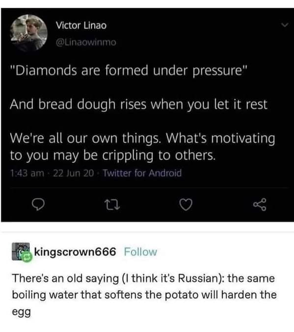 wholesome memes, heartwarming memes, uplifting memes, feel-good memes, inspirational memes, motivational memes