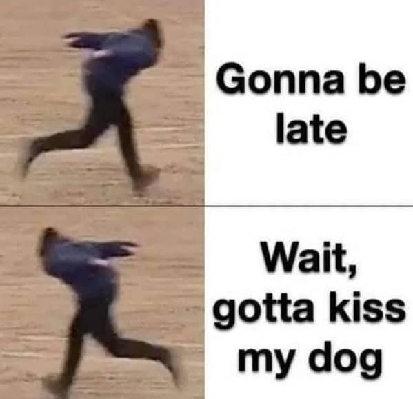 wholesome memes, heartwarming memes, uplifting memes, feel-good memes, inspirational memes, motivational memes