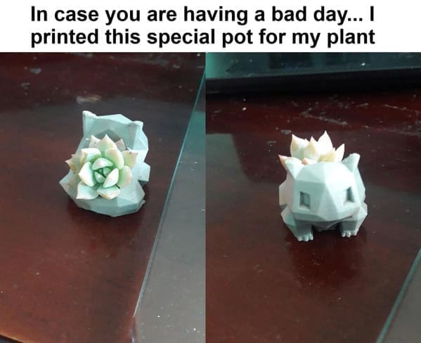 wholesome memes, heartwarming memes, feel-good memes, touching pictures, heartening photos, positive memes, happy memes, inspiring memes