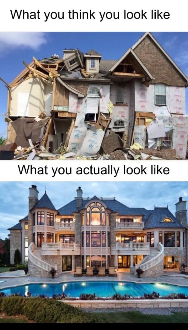 wholesome memes, heartwarming memes, feel-good memes, touching pictures, heartening photos, positive memes, happy memes, inspiring memes