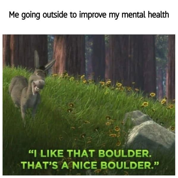 wholesome memes, heartwarming memes, uplifting memes, feel-good memes, inspirational memes, motivational memes