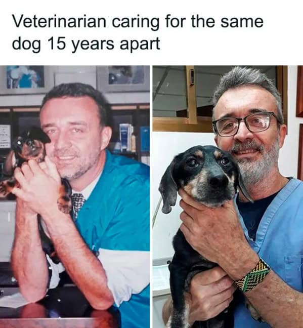 wholesome memes, heartwarming memes, feel-good memes, touching pictures, heartening photos, positive memes, happy memes, inspiring memes