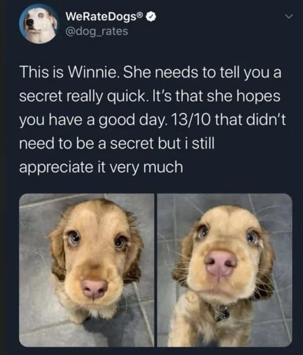 wholesome memes, heartwarming memes, feel-good memes, touching pictures, heartening photos, positive memes, happy memes, inspiring memes