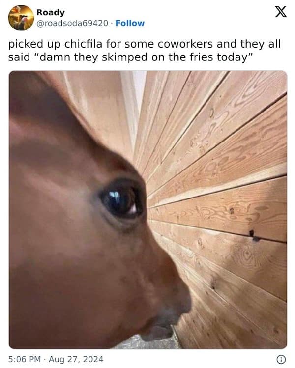 work memes, relatable office humor, Hilarious Work Tweets, Office Humor Compilation, Funny Work Fails, Hilarious Workplace Blunders, Comical Work Situations