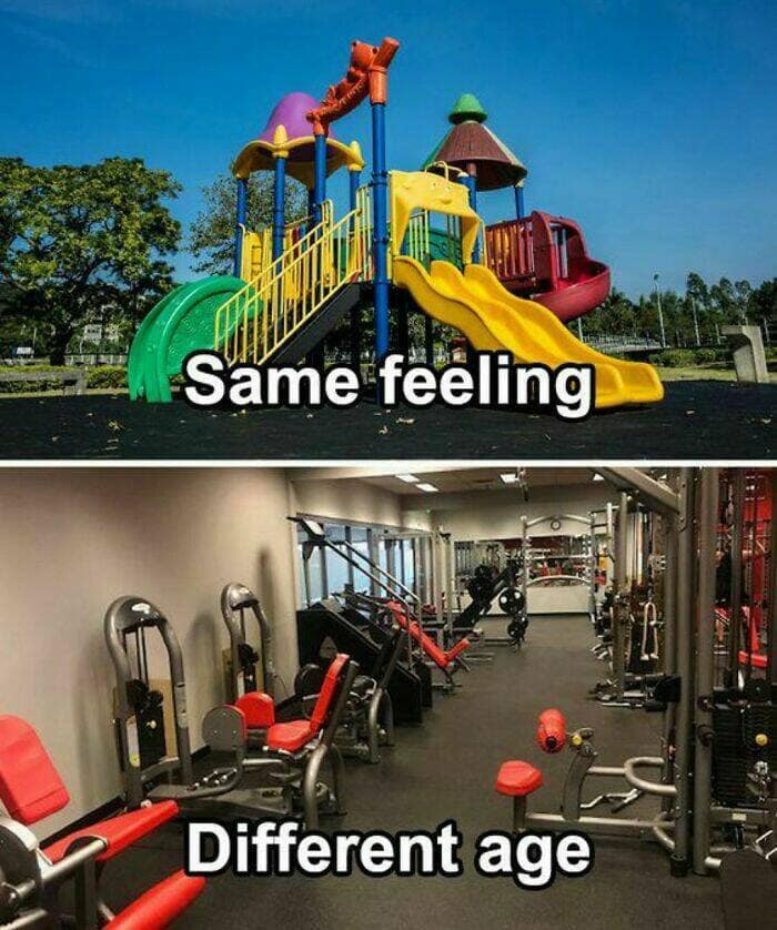 workout memes, gym memes, fitness humor, gym jokes, exercise laughter, exercise memes, fitness funnies, workout humor
